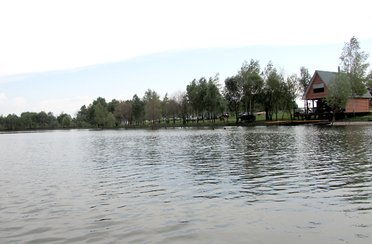 Макаровский пруд. Фото 4296.