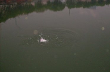 КЛЁВое озеро. Фото 726.