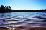 Коркинское озеро. Фото 7316.