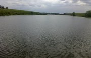 Буденовский пруд. Фото 4640.