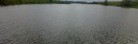Буденовский пруд. Фото 4640.
