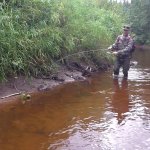 База  отдыха на озере Товское новости. Фото 18.