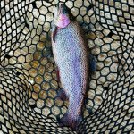 Рыбалка в Коваши новости. Фото 56.