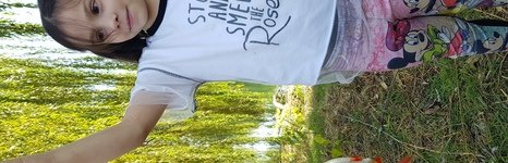 Ива. Фото 10005.