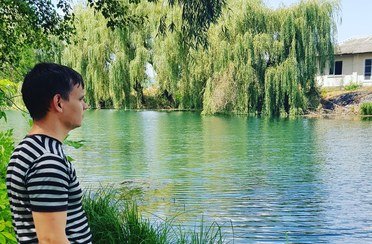 Ива. Фото 10022.