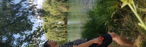 Ива. Фото 10026.