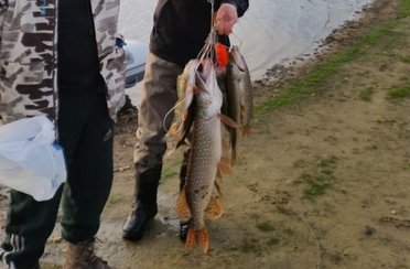 Чернавское водохранилище. Фото 10192.