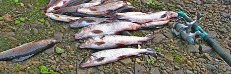 Рыбалка на щуку и хариуса в Архангельской области. Фото 10199.