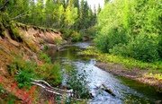 Рыбалка на щуку и хариуса в Архангельской области. Фото 10206.
