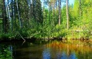 Рыболовные туры на хариуса. Фото 10224.
