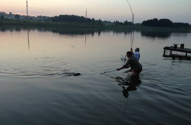 Тихая радость. Фото 1023.
