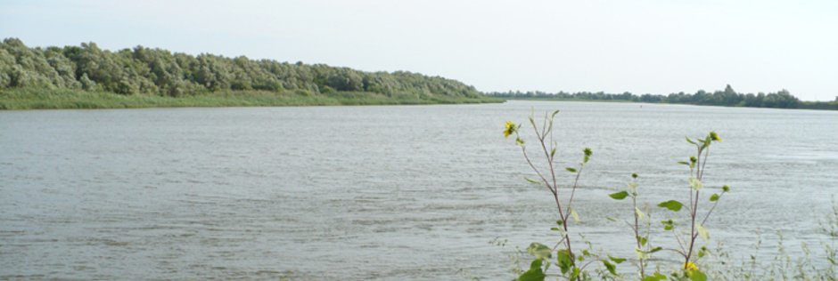 Старая Волга. Фото 1024.
