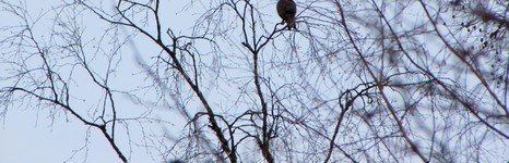 Рыбалка на хариуса. Весенняя подлёдная.. Фото 10248.