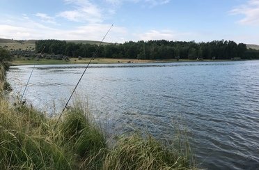 Чёрные камни. Фото 10268.