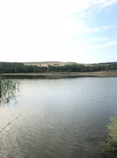 Чёрные камни. Фото 10270.