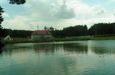 Горшиха. Фото 1031.