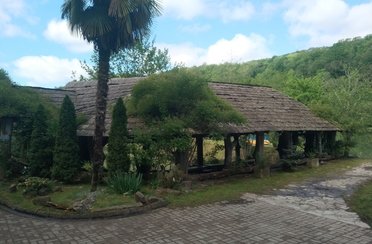 Барановское озеро. Фото 10358.