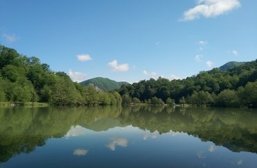 Барановское озеро. Фото 10366.