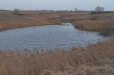 Китаев Пруд. Фото 10373.