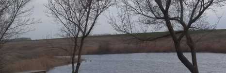 Китаев Пруд. Фото 10381.