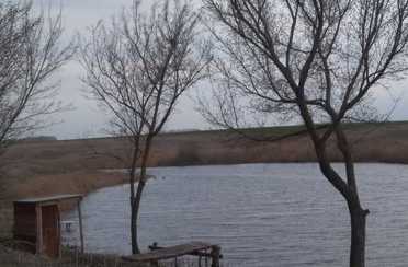 Китаев Пруд. Фото 10381.