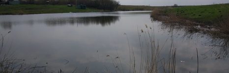 Китаев Пруд. Фото 10392.