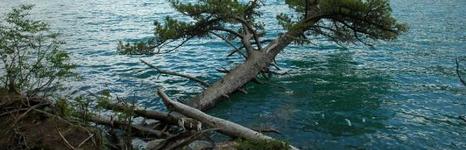 Бирюзовое. Фото 10401.