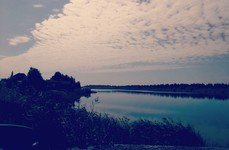 Бирюзовое. Фото 10409.