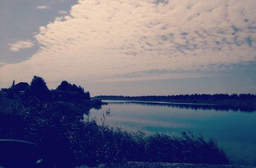 Бирюзовое. Фото 10409.