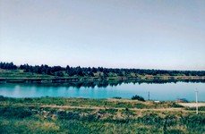 Бирюзовое. Фото 10410.