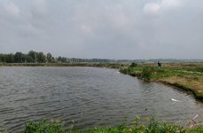 Бирюзовое. Фото 10429.