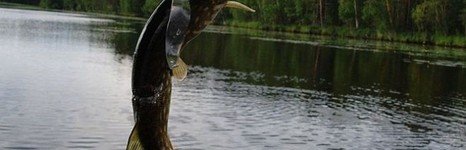 Дом солнца. Фото 1044.