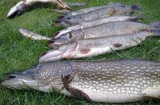 Дом солнца. Фото 1046.