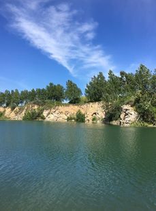 Изумрудный. Фото 10476.