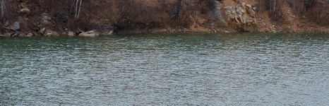 Изумрудный. Фото 10481.
