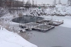 Изумрудный. Фото 10488.