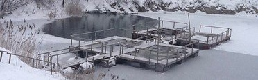 Изумрудный. Фото 10488.