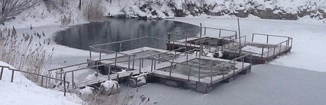 Изумрудный. Фото 10488.