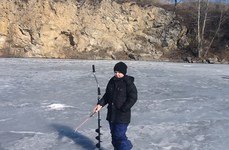 Изумрудный. Фото 10490.