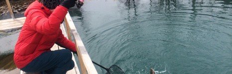 Изумрудный. Фото 10493.