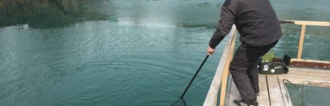 Изумрудный. Фото 10497.