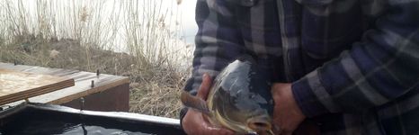 75 километр. Фото 10501.