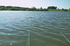 75 километр. Фото 10508.