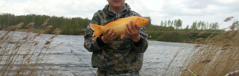 75 километр. Фото 10509.