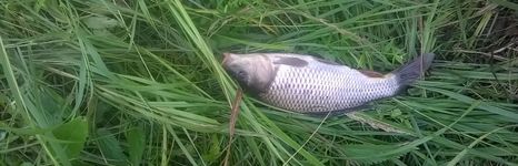 75 километр. Фото 10511.