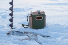 Берёзовый уют. Фото 10522.