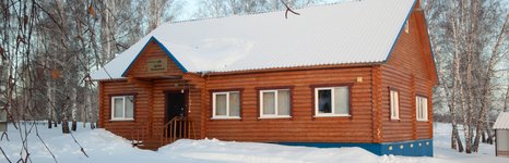Берёзовый уют. Фото 10523.