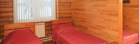 Берёзовый уют. Фото 10524.