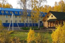 Берёзовый уют. Фото 10528.