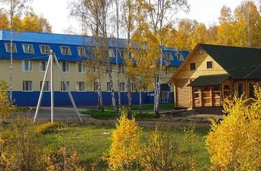 Берёзовый уют. Фото 10528.